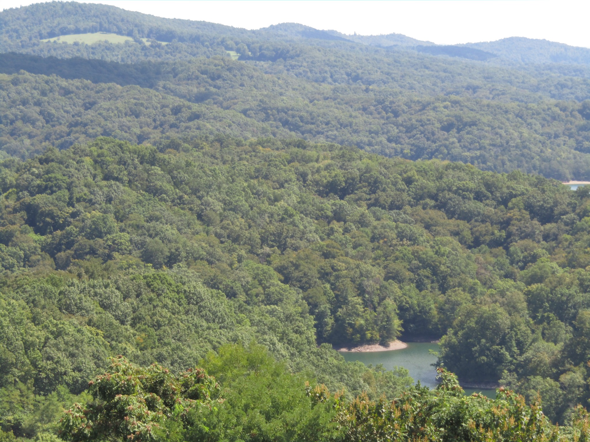 48 Swan Ridge Road, E Hilham TN 38568