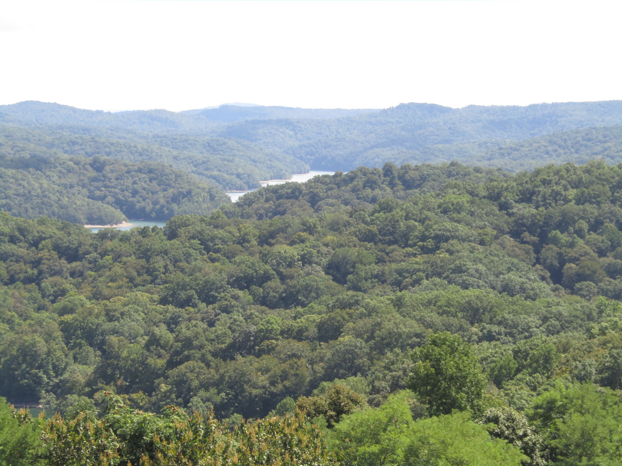 48 Swan Ridge Road, E Hilham TN 38568