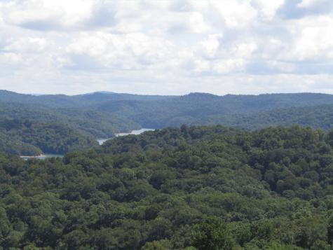 48 Swan Ridge Road, E Hilham TN 38568