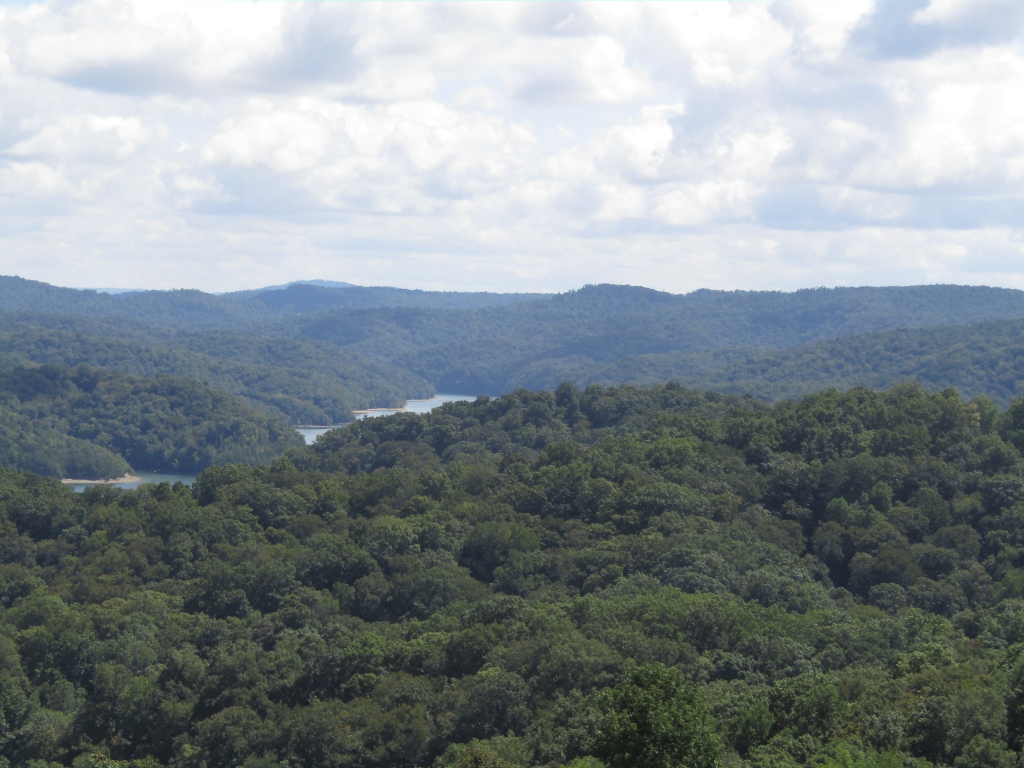 48 Swan Ridge Road, E Hilham TN 38568
