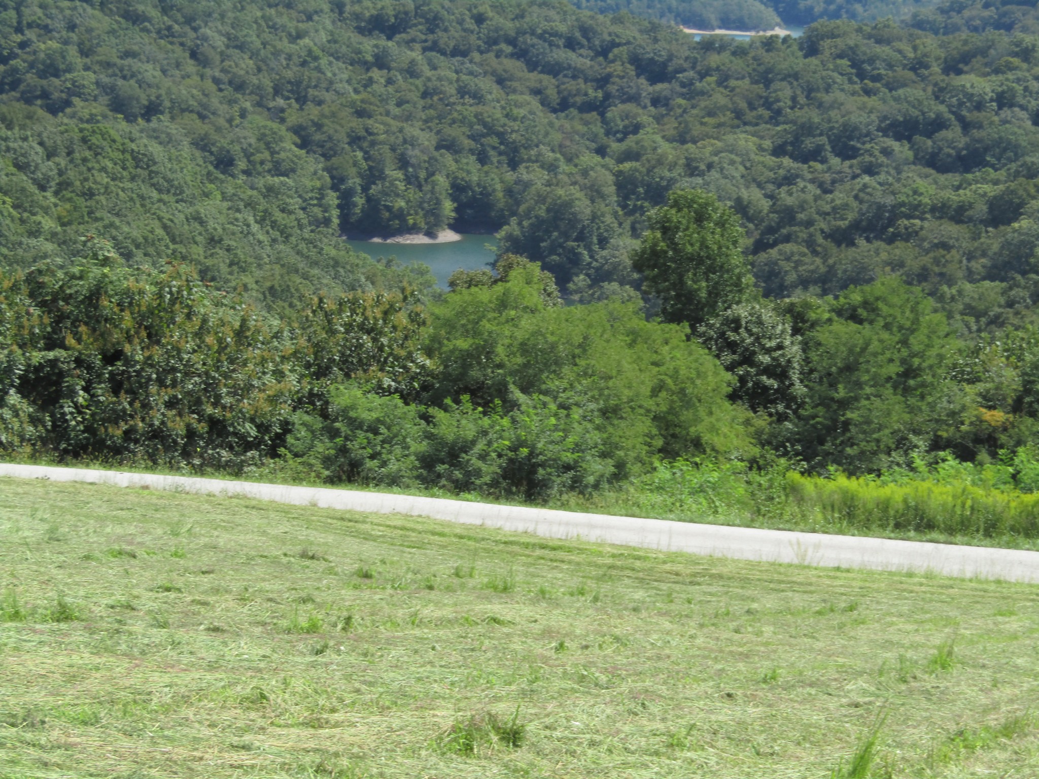 48 Swan Ridge Road, E Hilham TN 38568