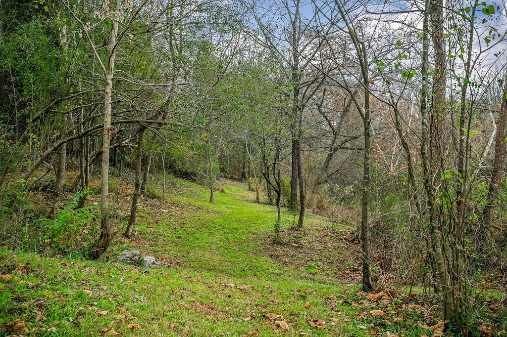 301 Everett St, W Sparta TN 38583