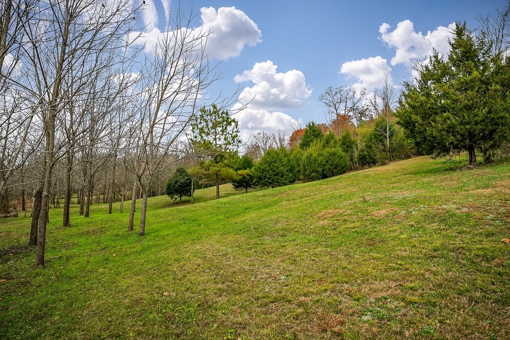 301 Everett St, W Sparta TN 38583