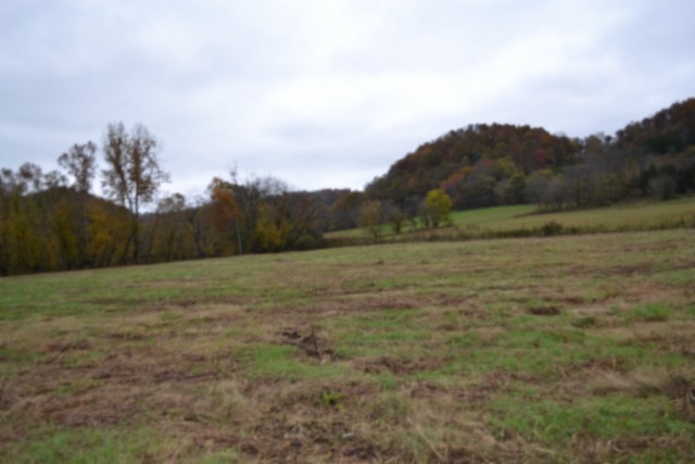146 Copeland Lane Celina TN 38551