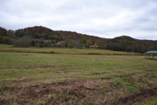146 Copeland Lane Celina TN 38551