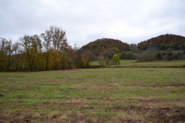 146 Copeland Lane Celina TN 38551