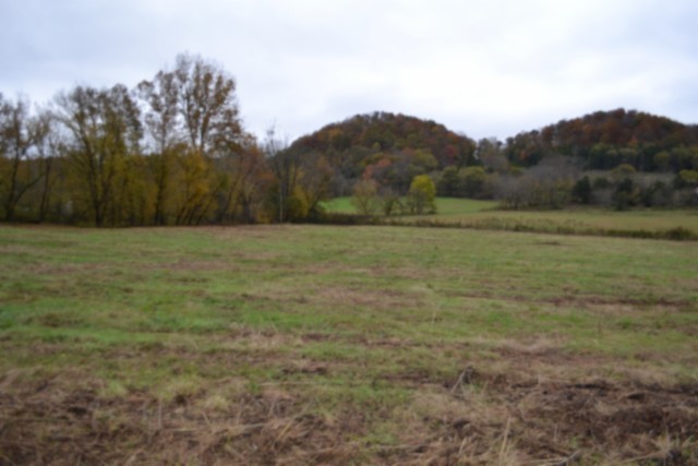 146 Copeland Lane Celina TN 38551