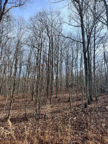 0 Teludachee South Pittsburg TN 37380