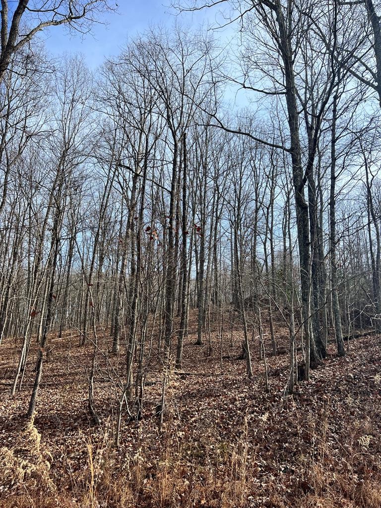 0 Teludachee South Pittsburg TN 37380