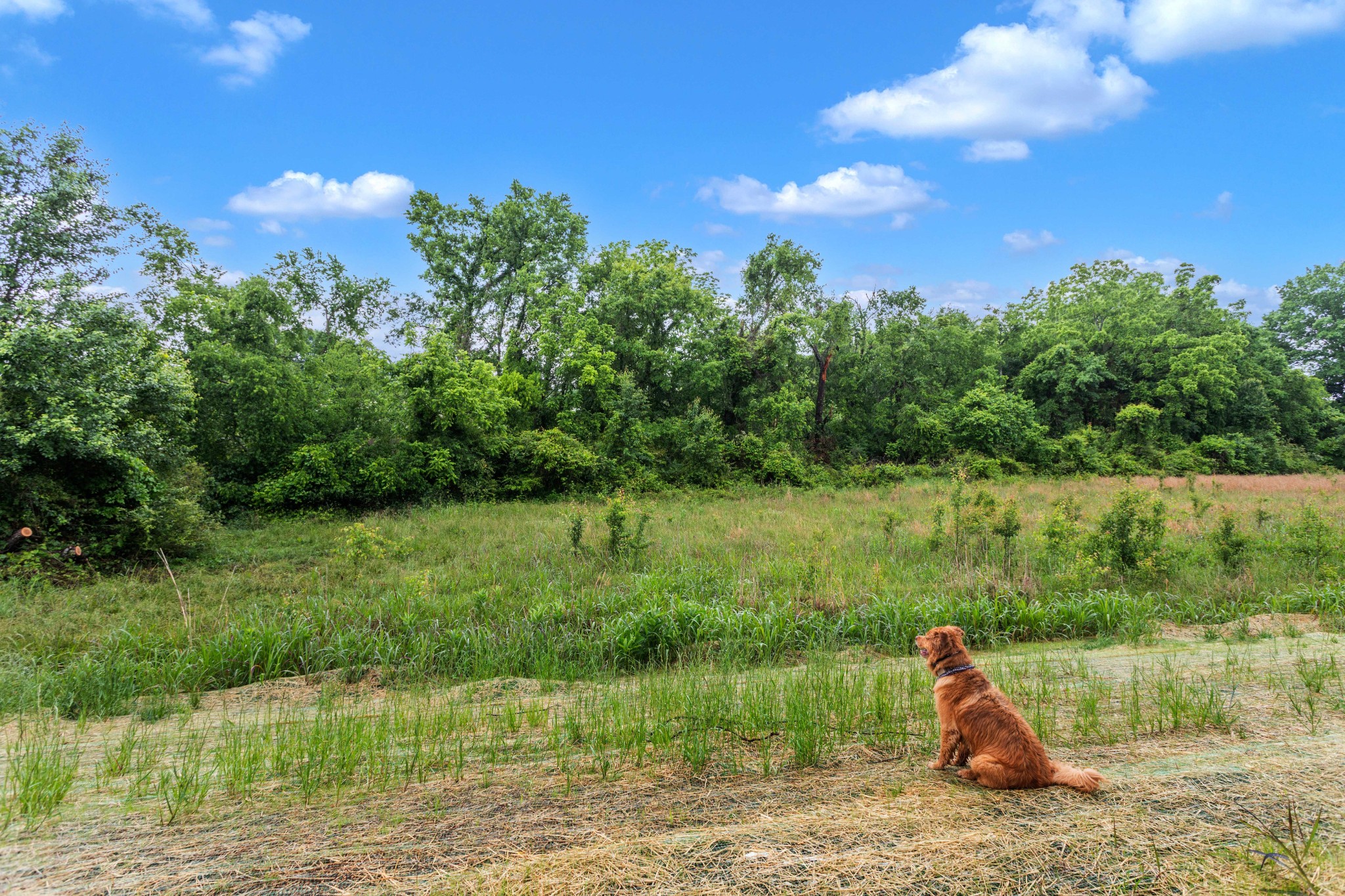 113 Centennial Lane Columbia TN 38401