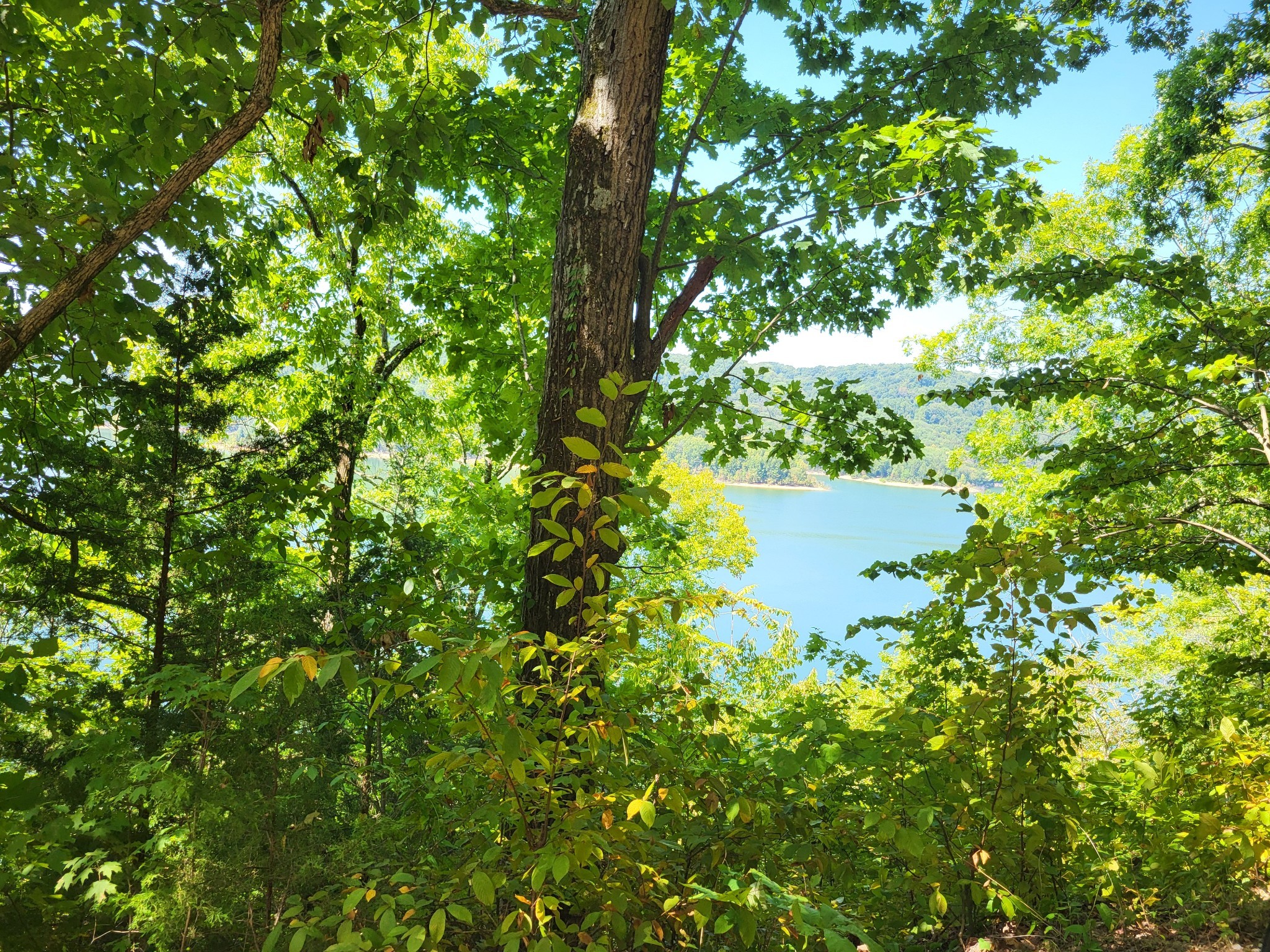 0 Peninsulas Edge, S Smithville TN 37166