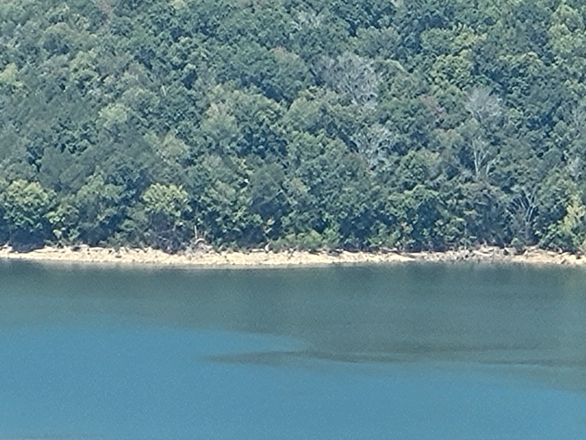 0 Peninsulas Edge, S Smithville TN 37166