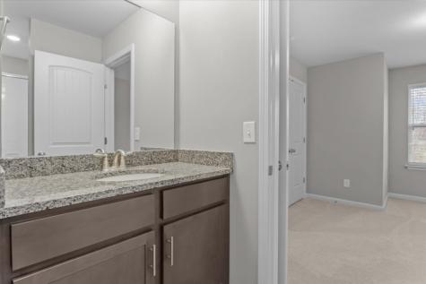 301 Bell Forge Court White Bluff TN 37187