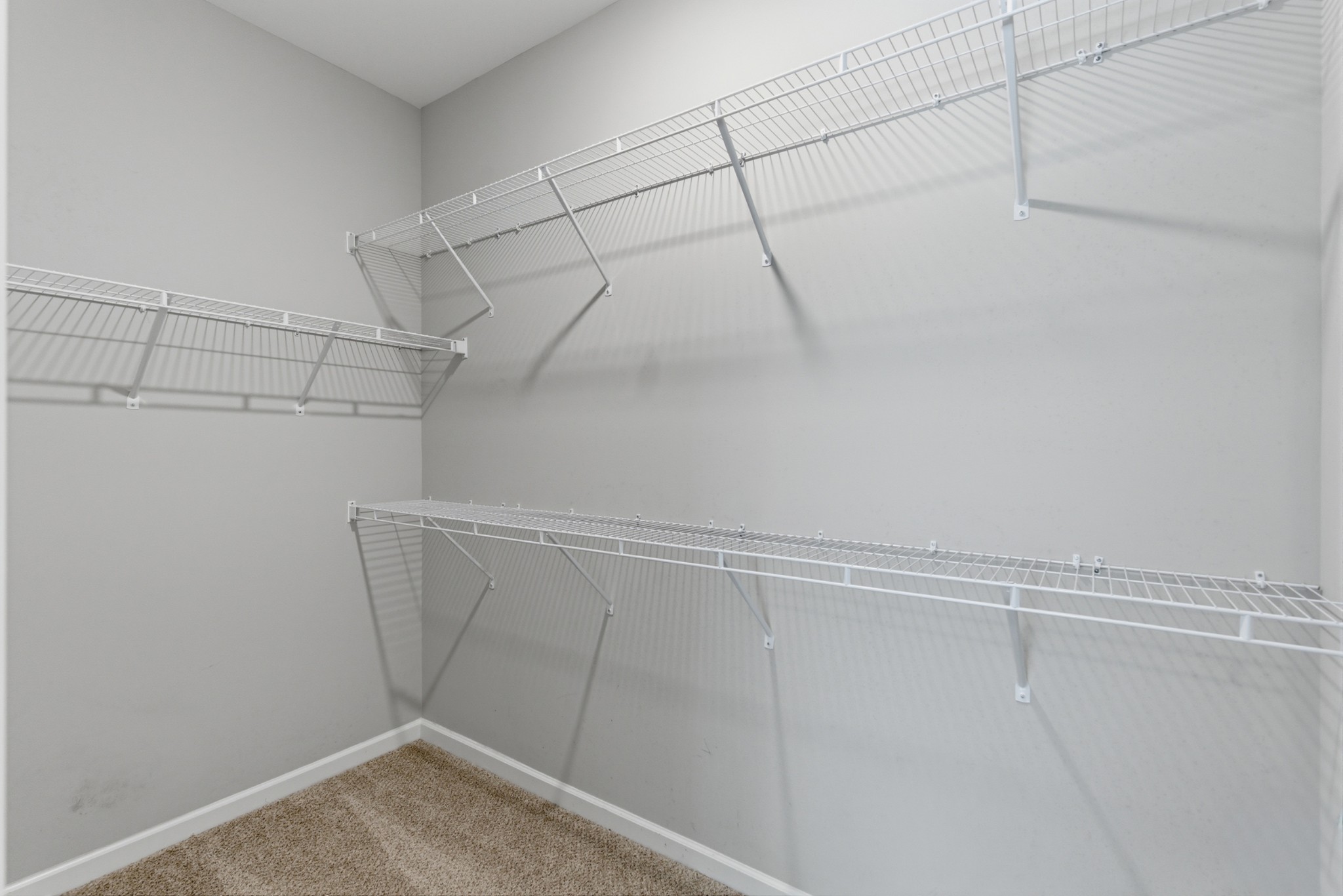 1072 Brayden Drive Fairview TN 37062