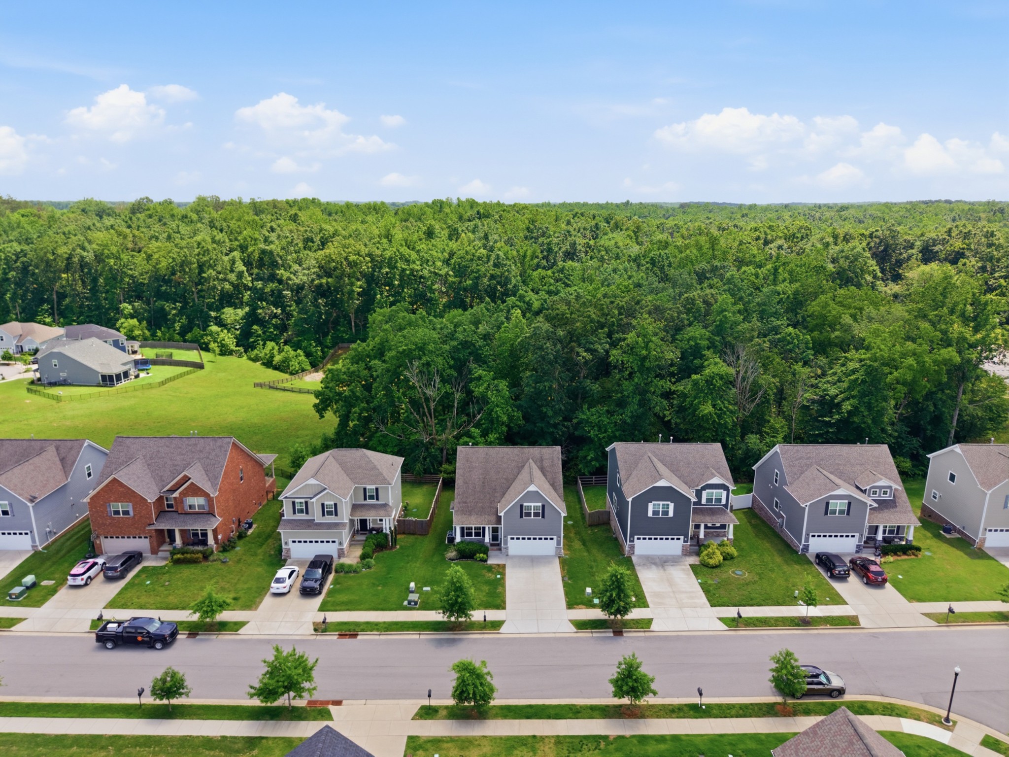 1072 Brayden Drive Fairview TN 37062