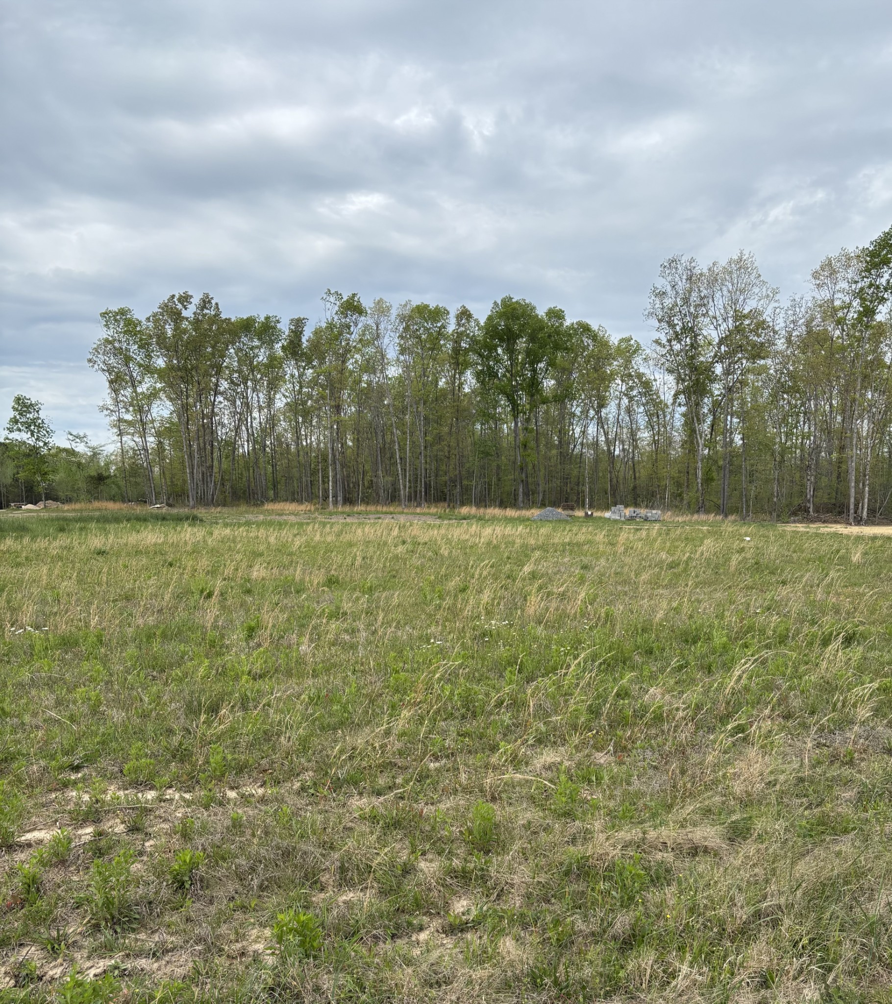 0 Brinkley Road Wartrace TN 37183