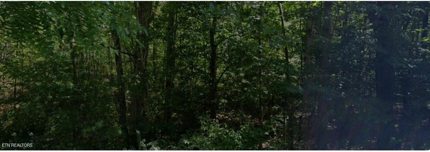 5007 Ostego Drive Crossville TN 38572