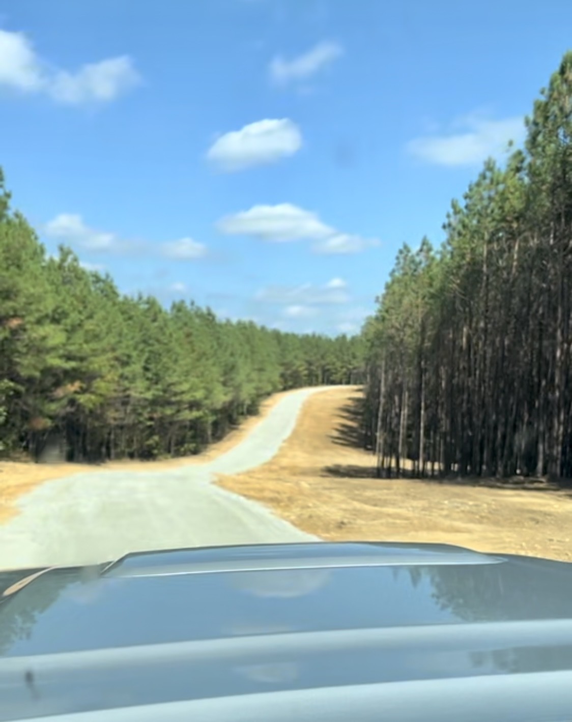0 Brown Road Hohenwald TN 38462