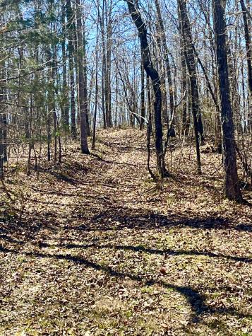 0 Brown Road Hohenwald TN 38462