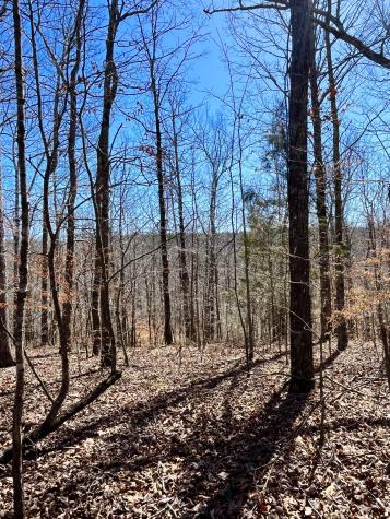 0 Brown Road Hohenwald TN 38462