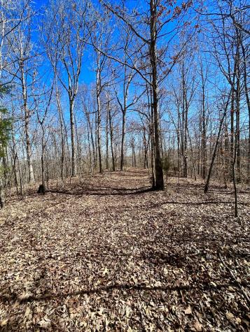 0 Brown Road Hohenwald TN 38462