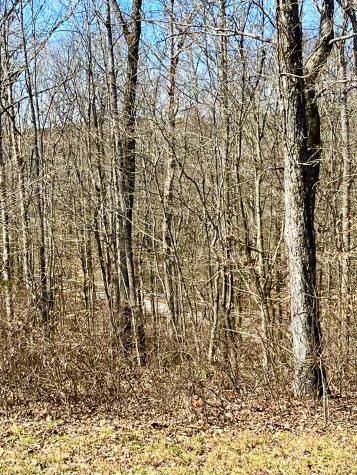 0 Brown Road Hohenwald TN 38462