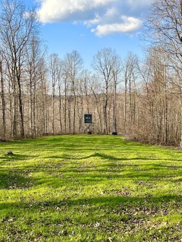 0 Brown Road Hohenwald TN 38462