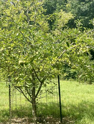 0 Brown Road Hohenwald TN 38462