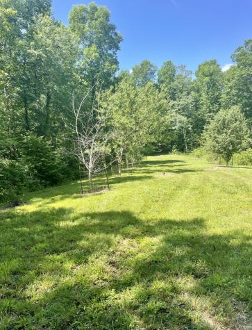 0 Brown Road Hohenwald TN 38462