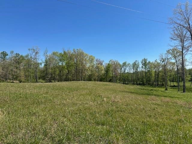 0 Pear Blossom Lane Adamsville TN 38310