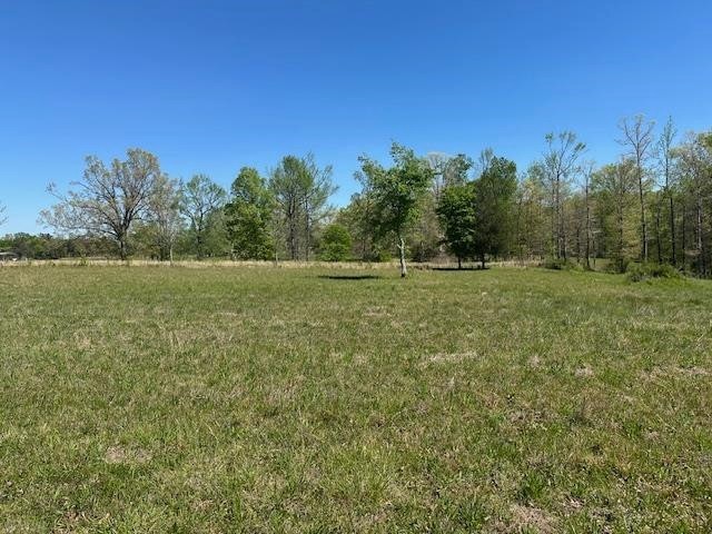 0 Pear Blossom Lane Adamsville TN 38310