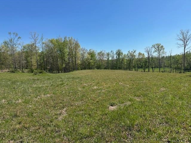 0 Pear Blossom Lane Adamsville TN 38310