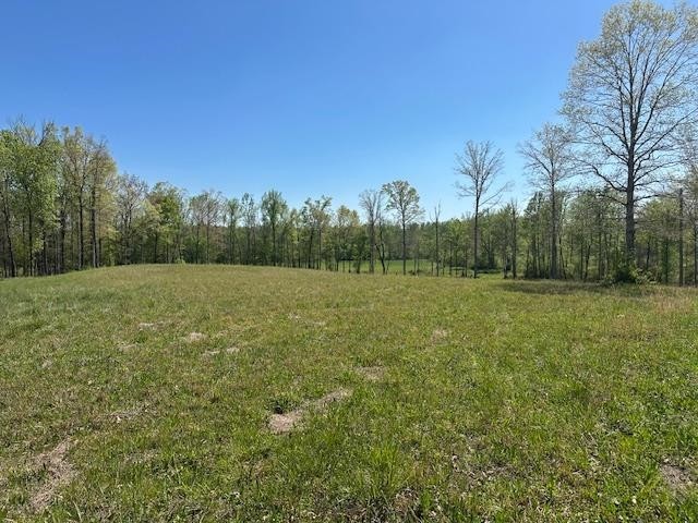 0 Pear Blossom Lane Adamsville TN 38310