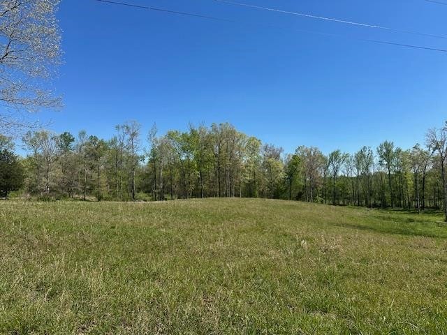 0 Pear Blossom Lane Adamsville TN 38310