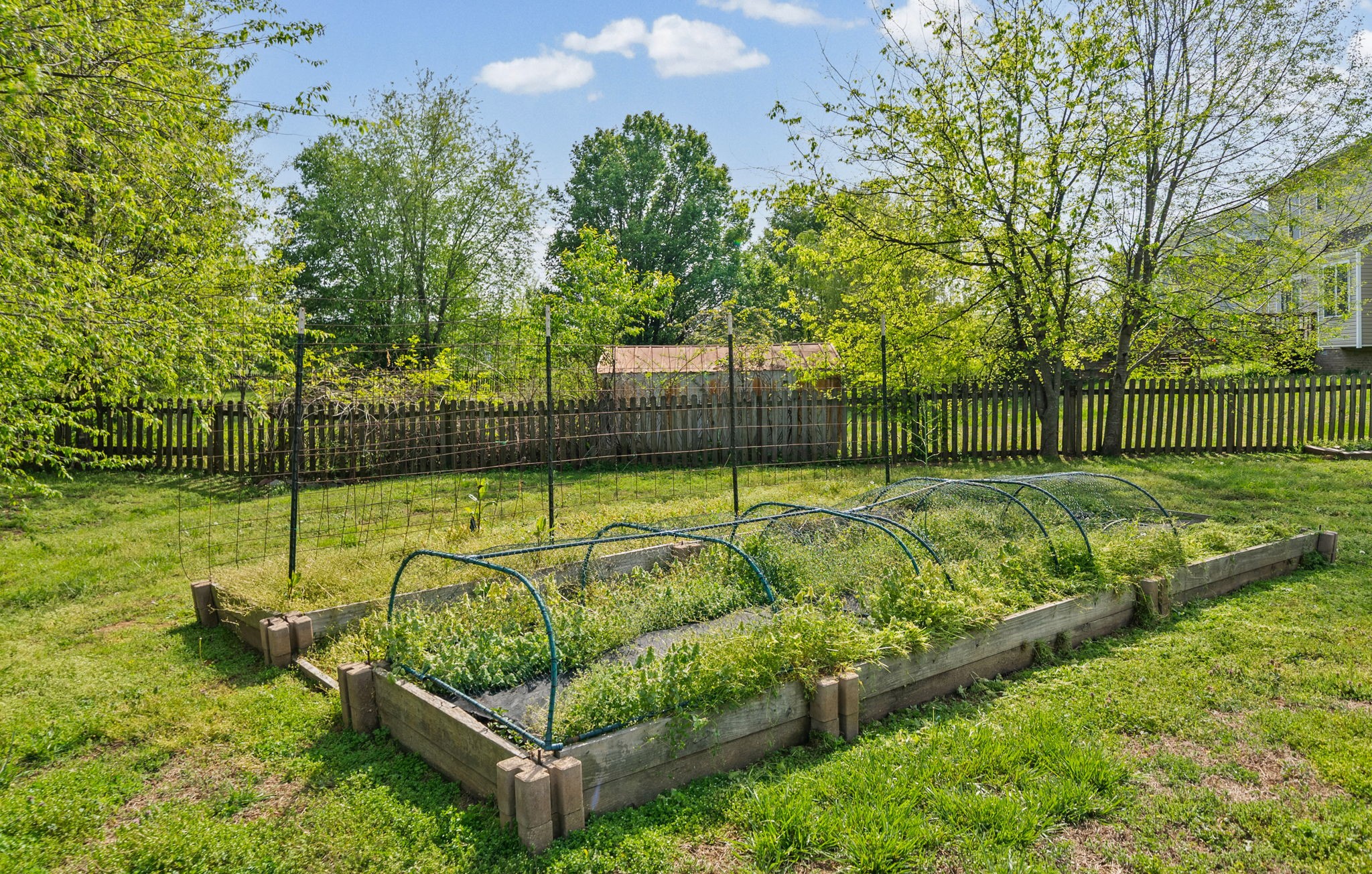 1209 Shorehaven Drive Clarksville TN 37042