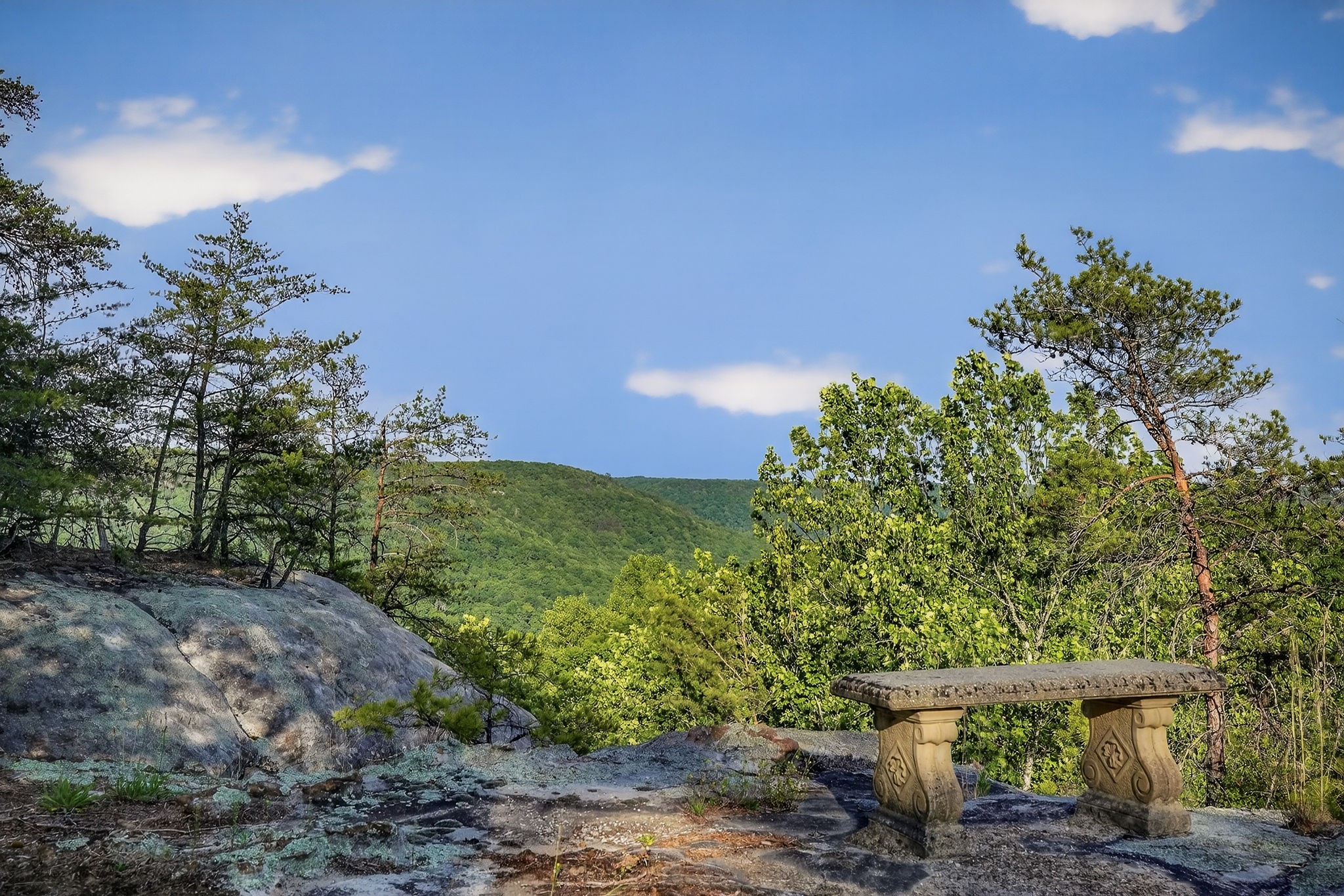 275 Buckeye Lane Wilder TN 38589