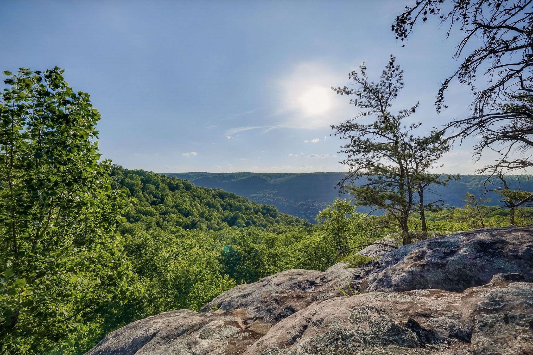 275 Buckeye Lane Wilder TN 38589