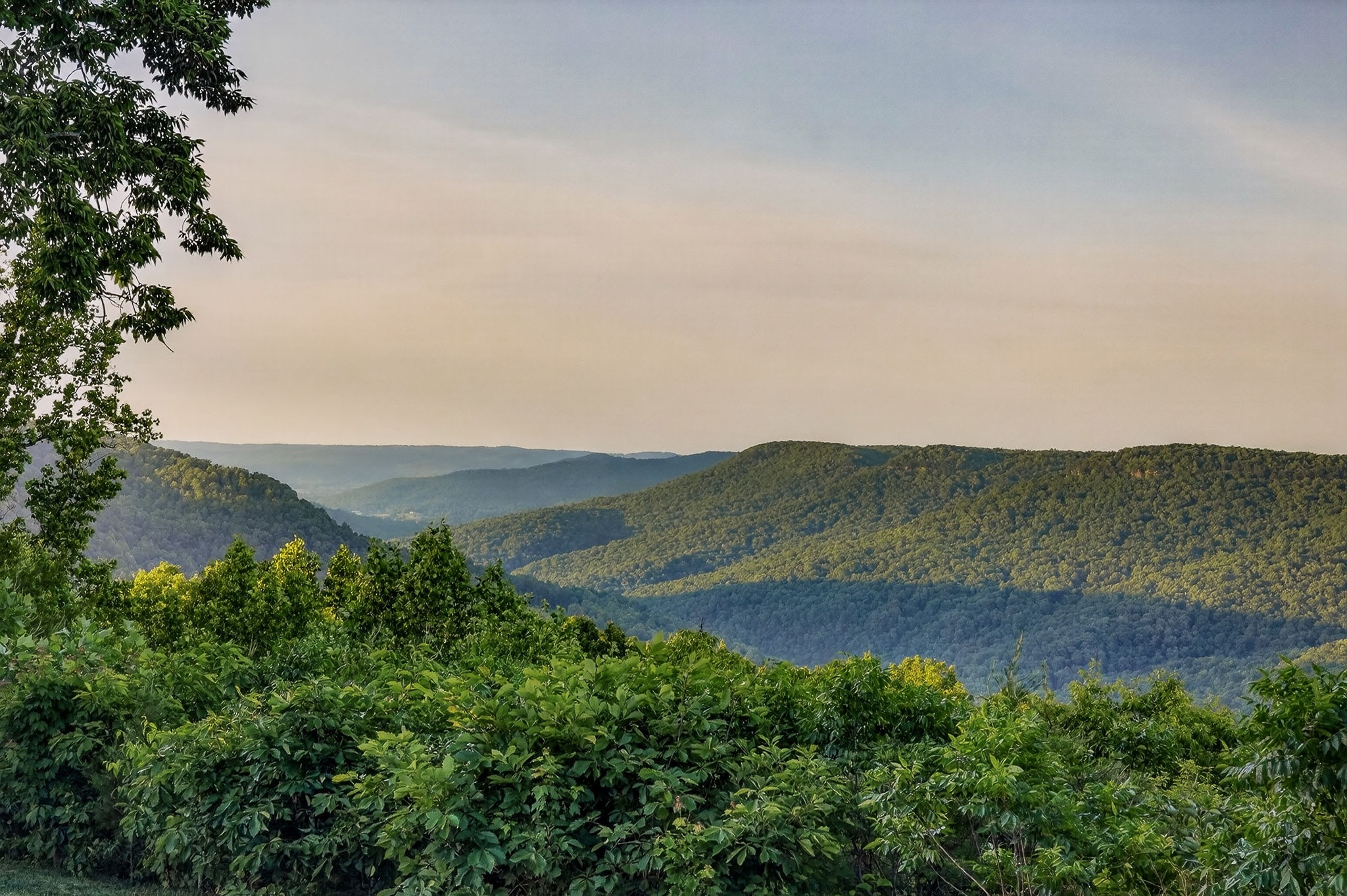 275 Buckeye Lane Wilder TN 38589