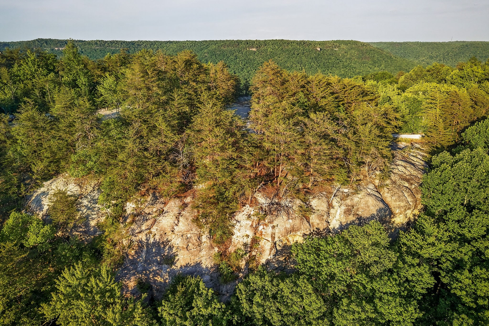 275 Buckeye Lane Wilder TN 38589