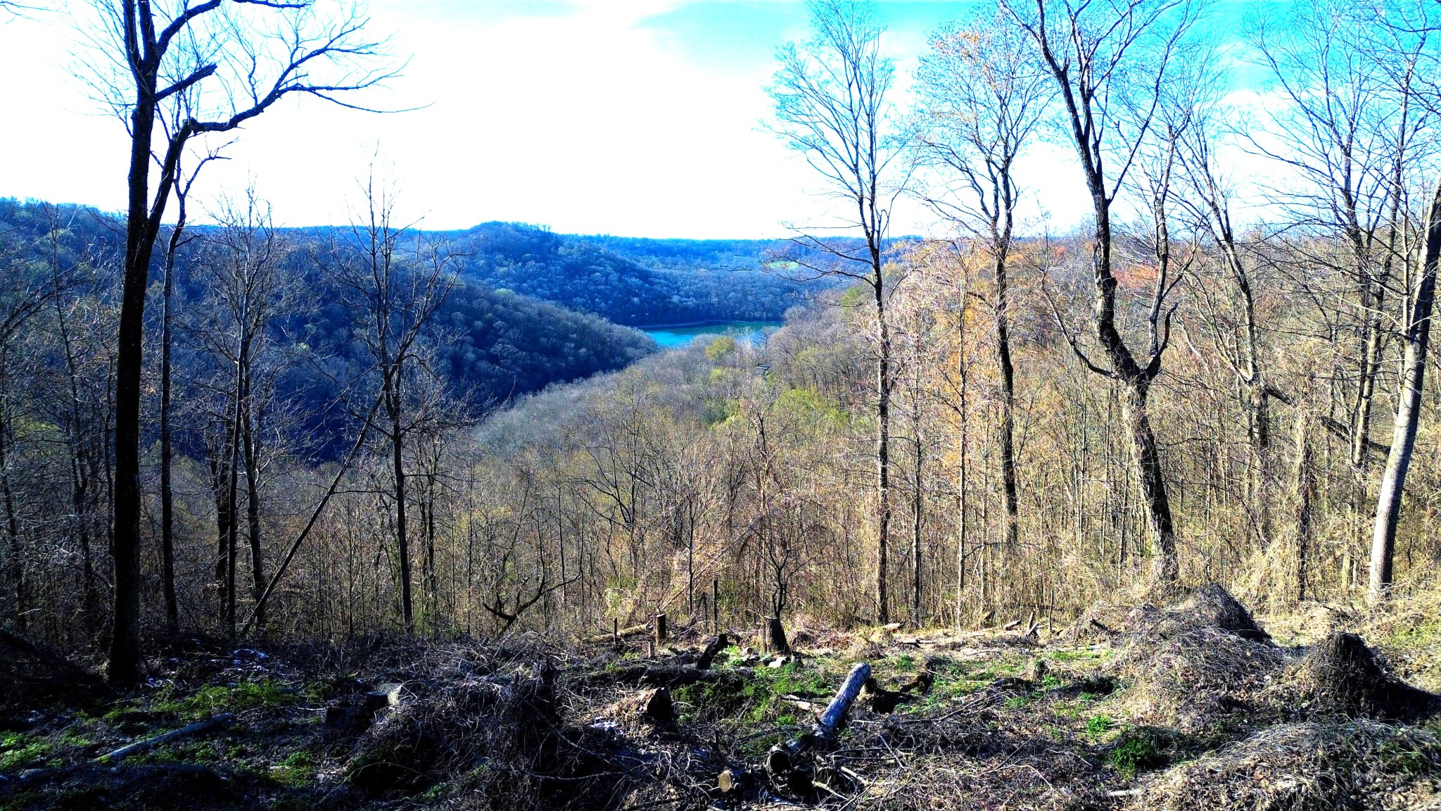 0 Lola Drive Lots 213 & 237 Smithville TN 37166