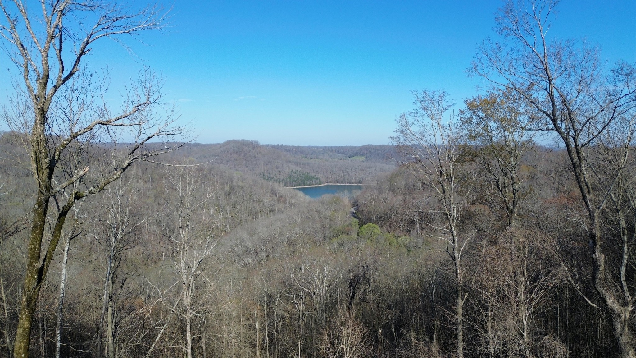 0 Lola Drive Lots 213 & 237 Smithville TN 37166