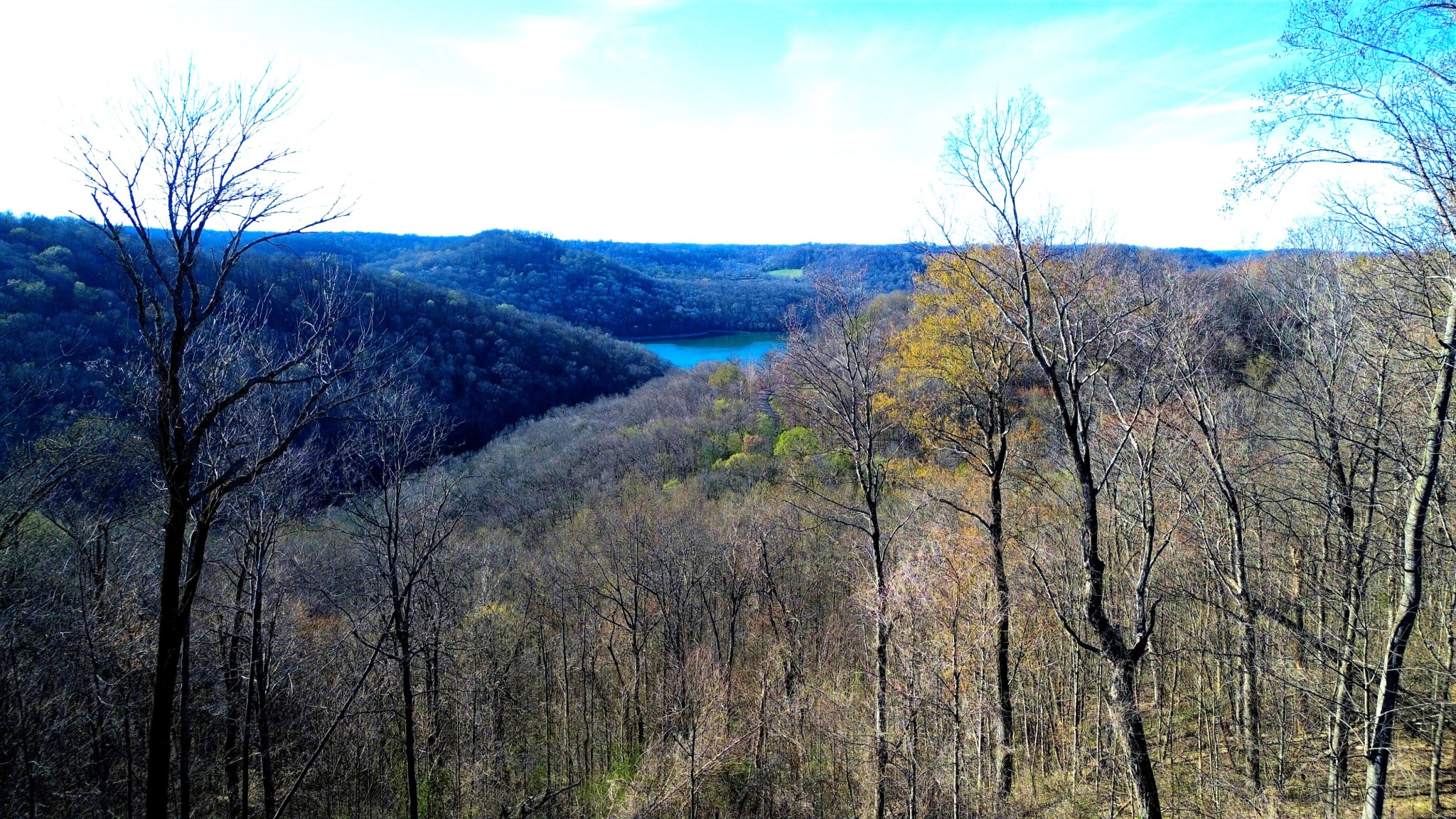 0 Lola Drive Lots 213 & 237 Smithville TN 37166
