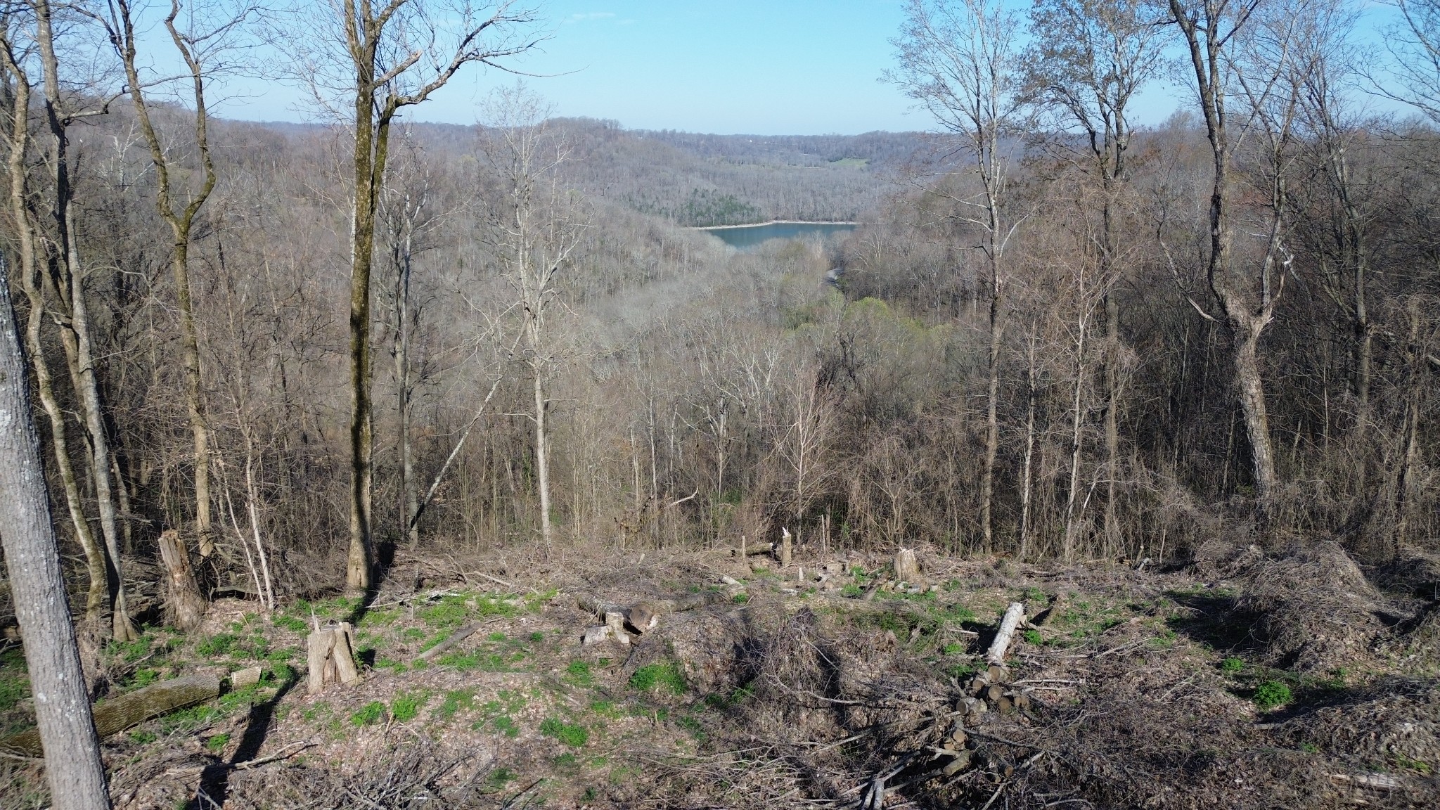 0 Lola Drive Lots 213 & 237 Smithville TN 37166