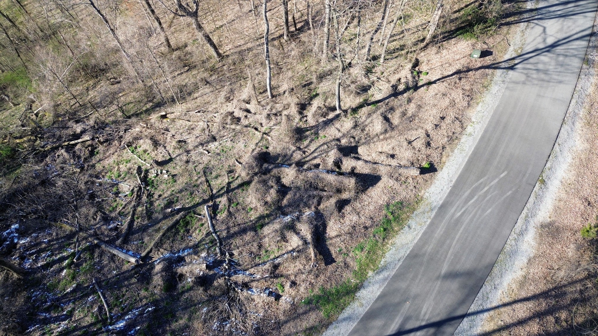 0 Lola Drive Lots 213 & 237 Smithville TN 37166