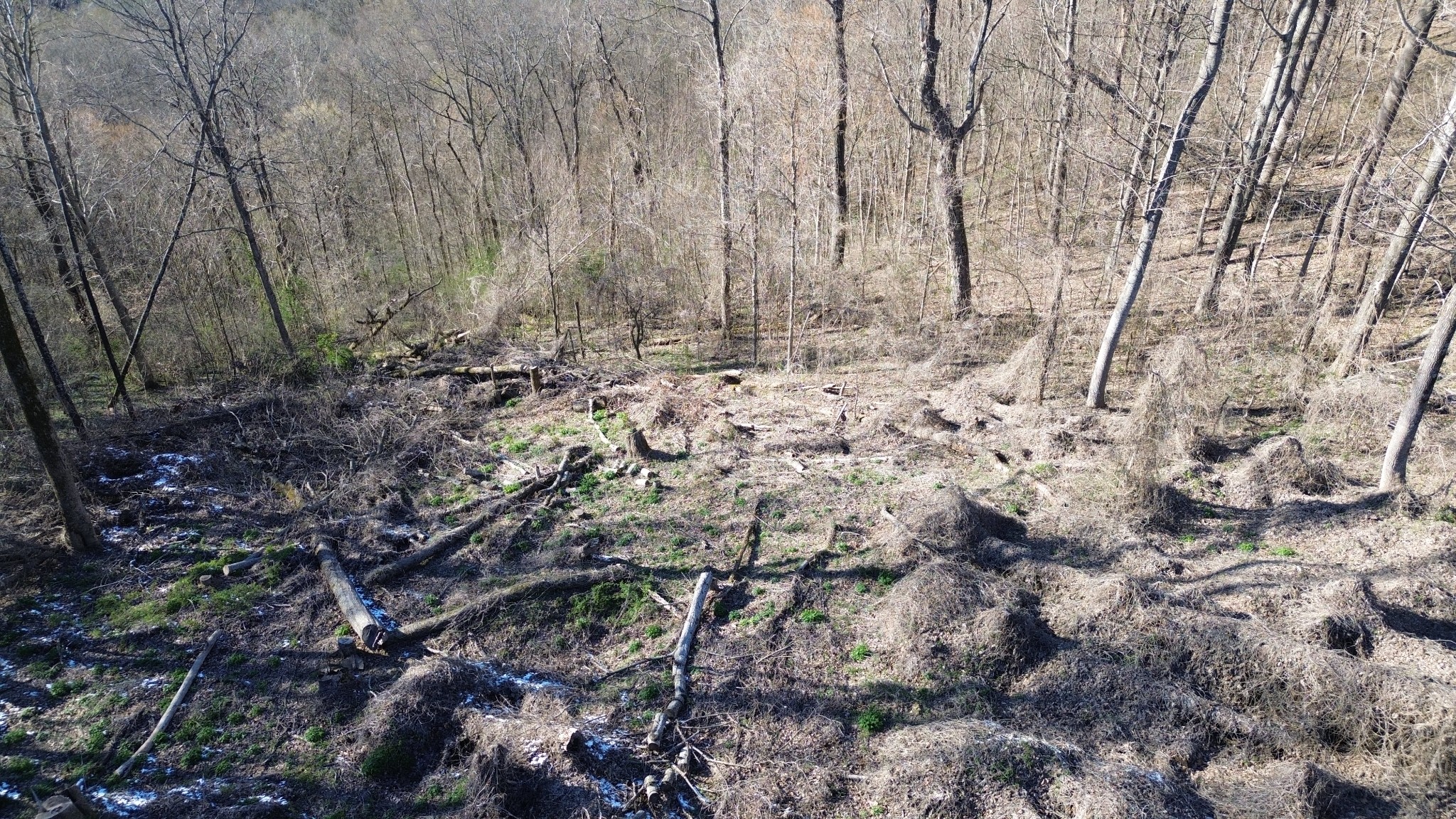 0 Lola Drive Lots 213 & 237 Smithville TN 37166