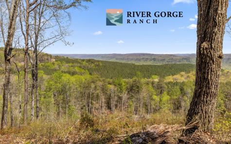 2225 High Ground Road Guild TN 37340