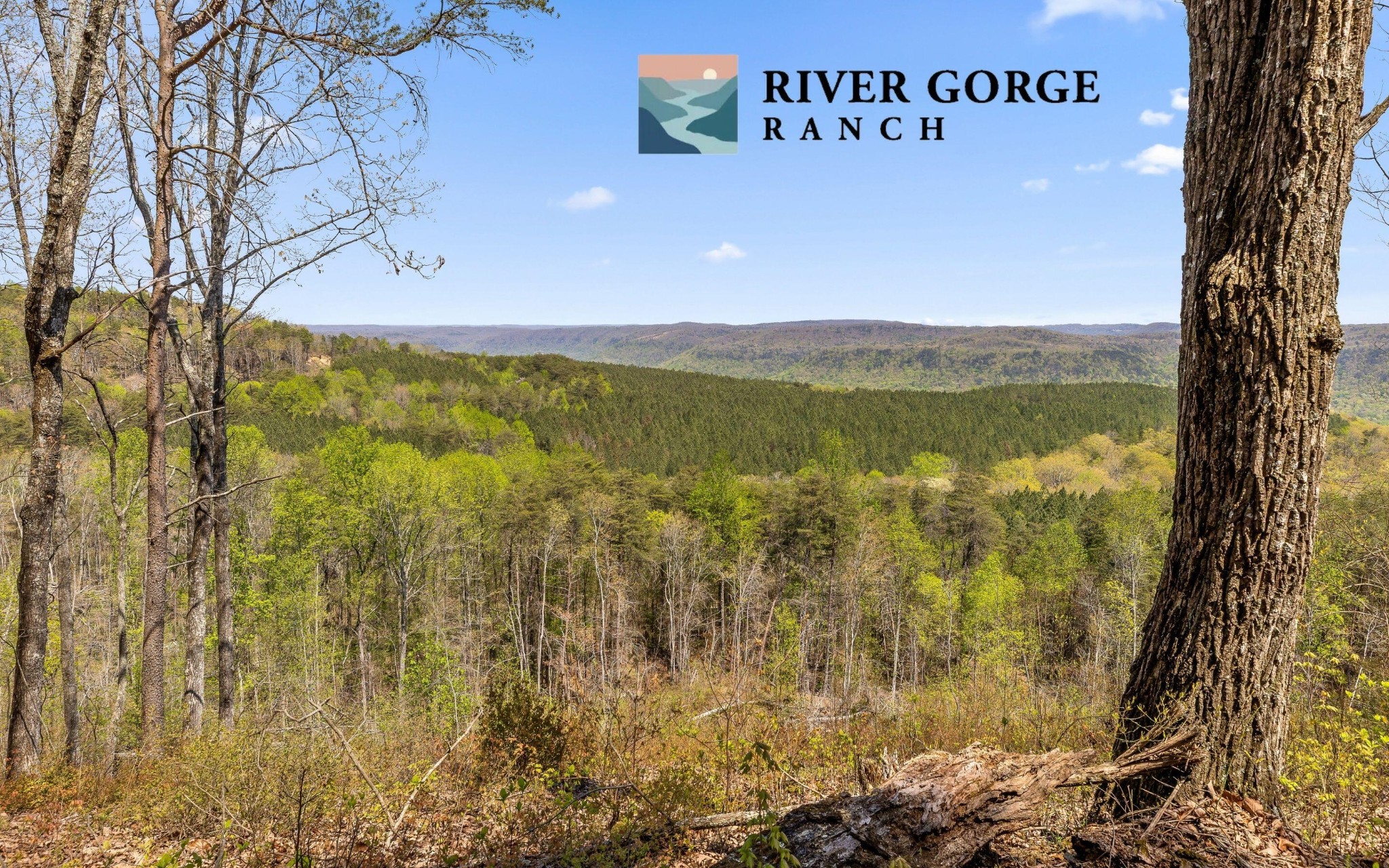 2225 High Ground Road Guild TN 37340