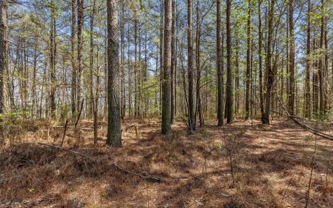 2225 High Ground Road Guild TN 37340