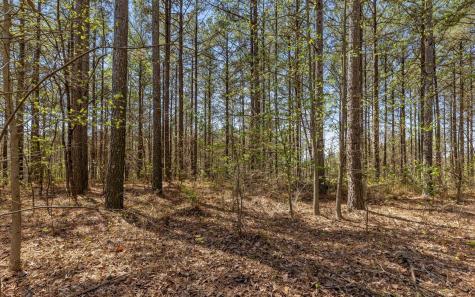 2225 High Ground Road Guild TN 37340