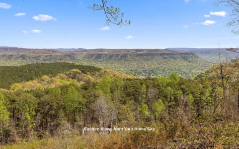 2225 High Ground Road Guild TN 37340